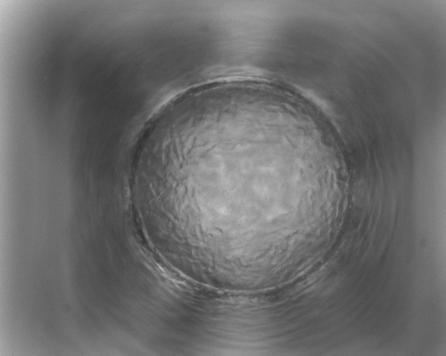 X0000068771407200605121650