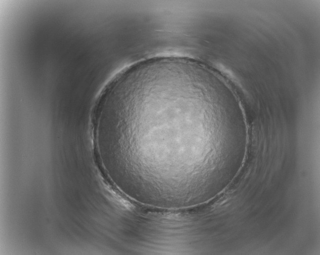 X0000068771408200605121650