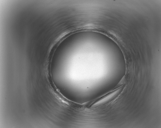 X0000068771410200605121650