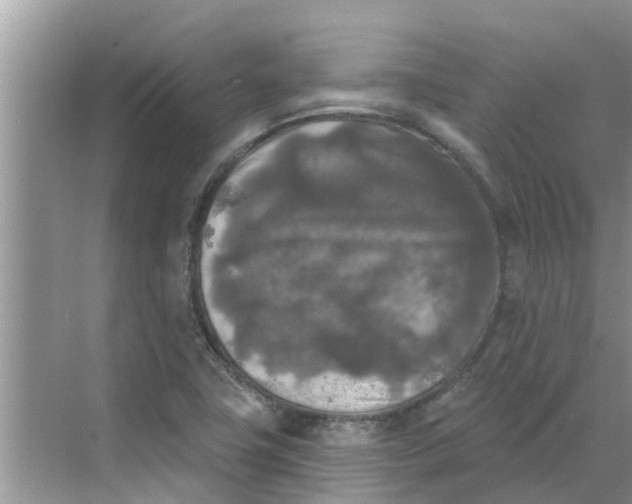 X0000068771411200605121650