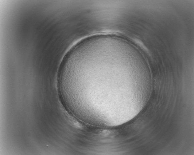 X0000068771412200605121650