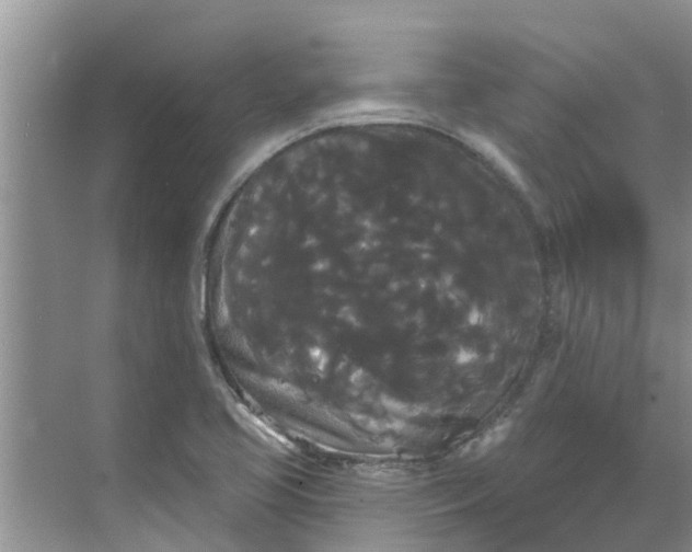 X0000068771413200605121650