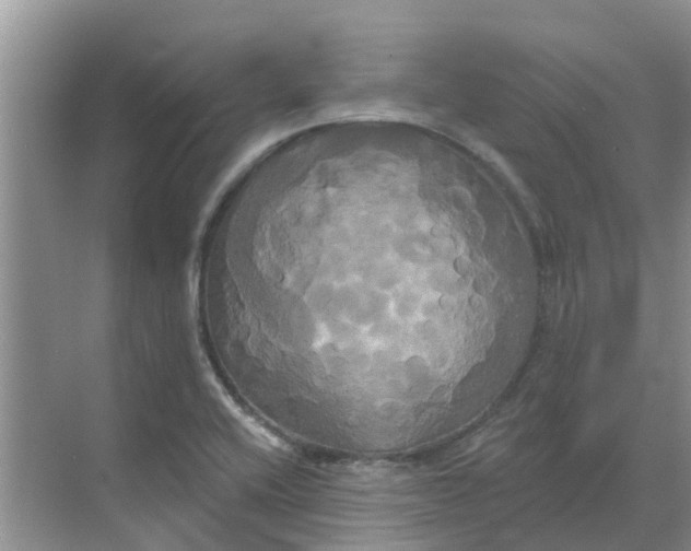 X0000068771416200605121650