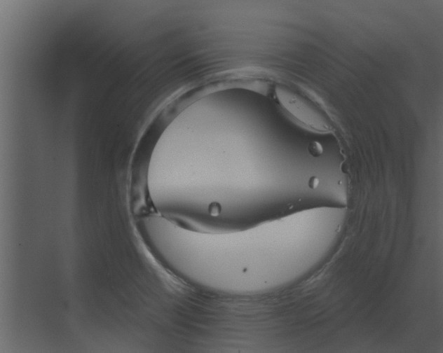 X0000068771418200605121650