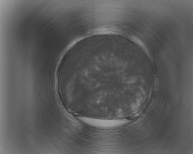 X0000068771419200605121650