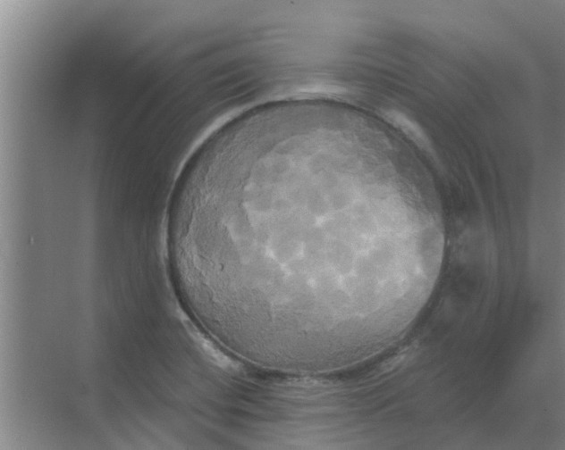 X0000068771420200605121650