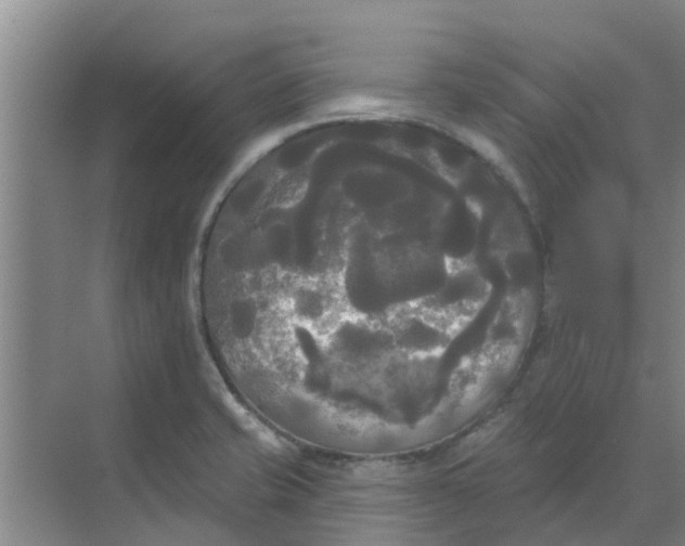 X0000068771421200605121650