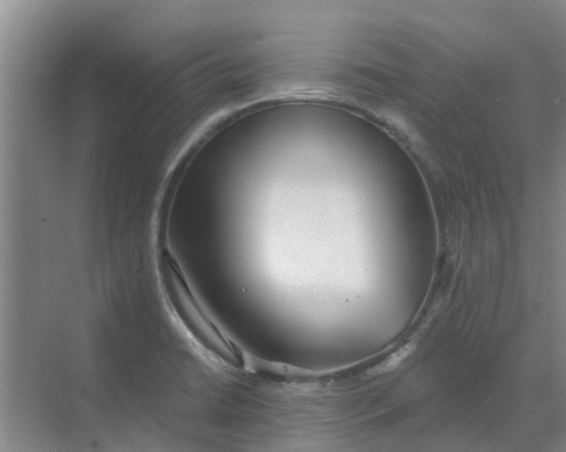 X0000068771422200605121650