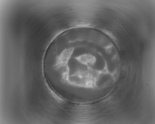 X0000068771423200605121650