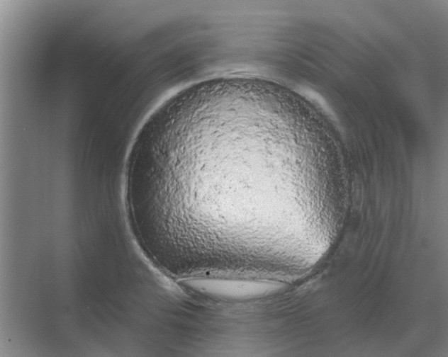 X0000068771424200605121650