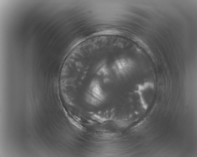 X0000068771425200605121650