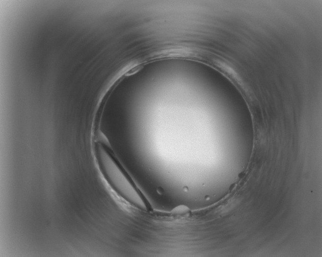 X0000068771426200605121650