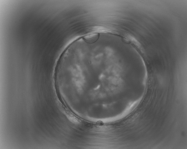 X0000068771427200605121650