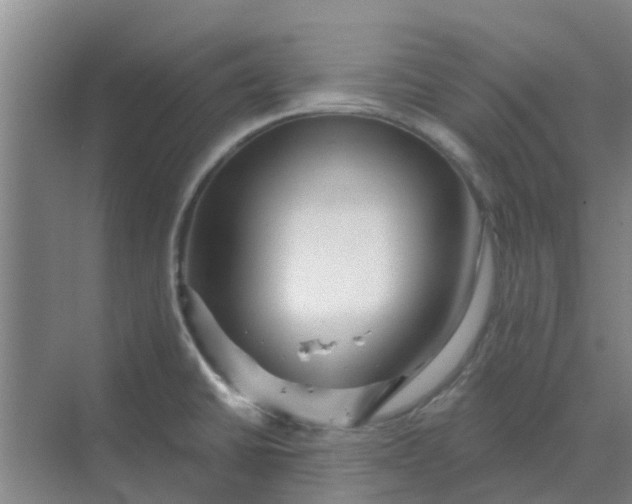 X0000068771430200605121650