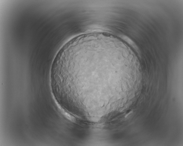 X0000068771431200605121650