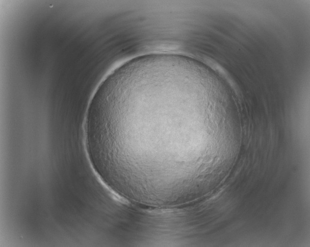 X0000068771432200605121650