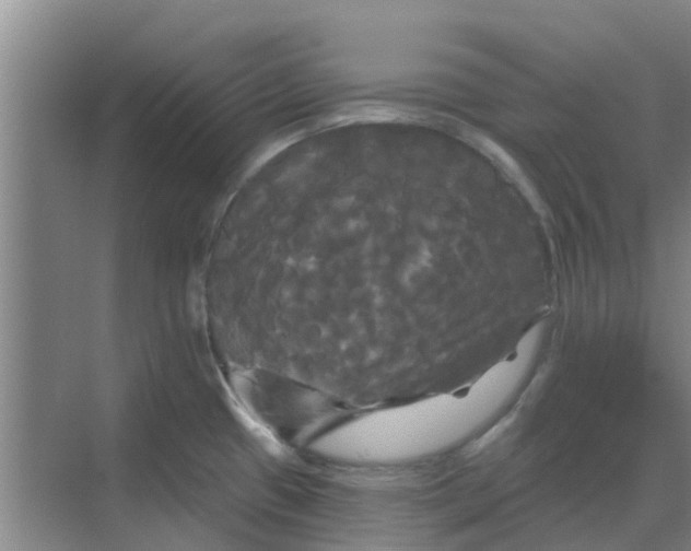 X0000068771433200605121650