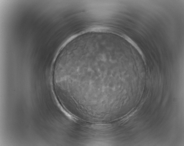 X0000068771437200605121650