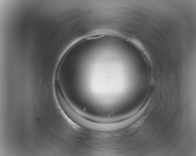 X0000068771438200605121650