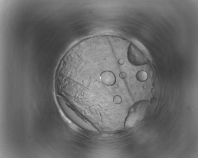 X0000068771439200605121650