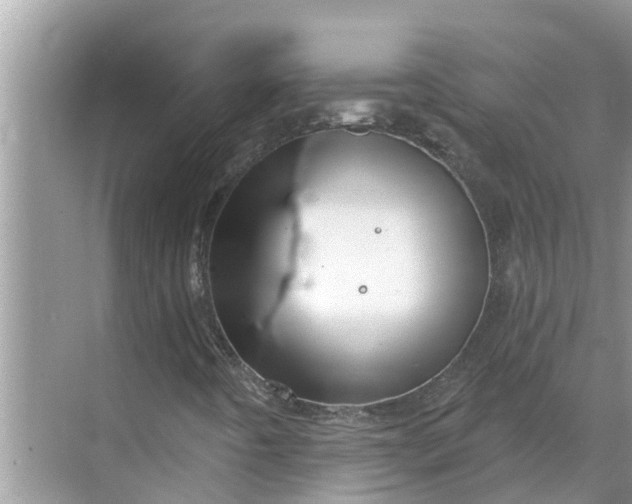 X0000068771442200605121649