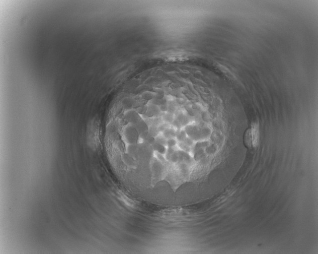 X0000068771444200605121649