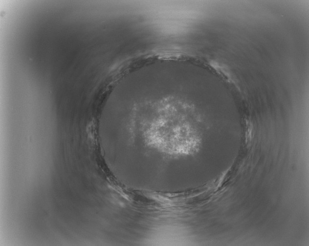 X0000068771445200605121649