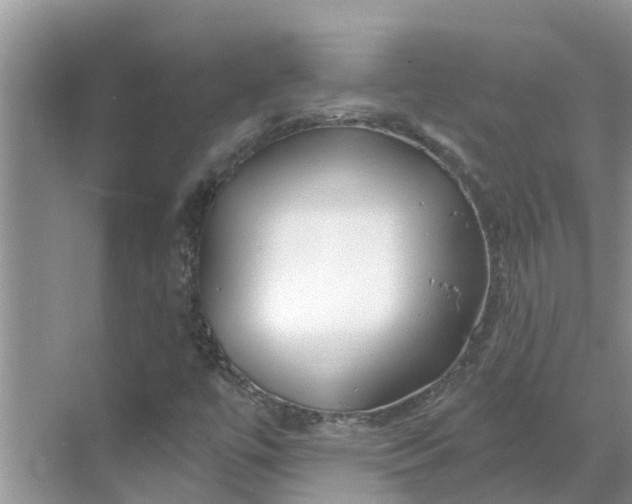 X0000068771447200605121649