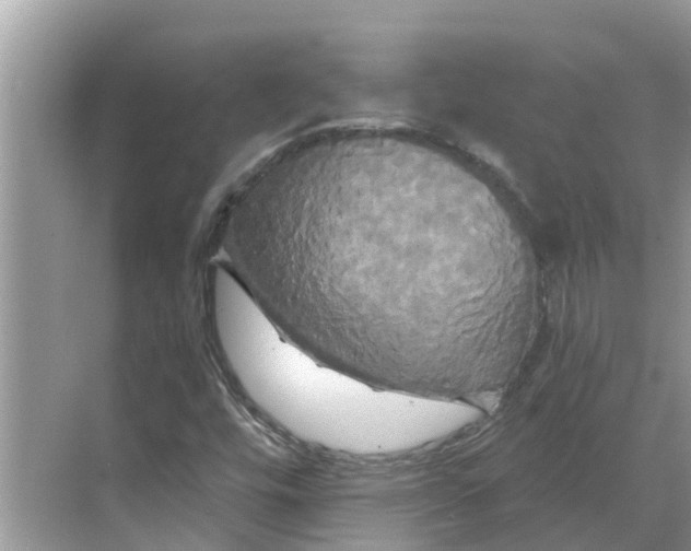 X0000068771448200605121649