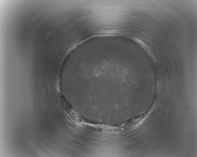 X0000068771449200605121649