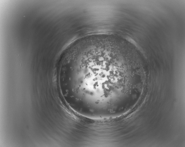 X0000068771450200605121649