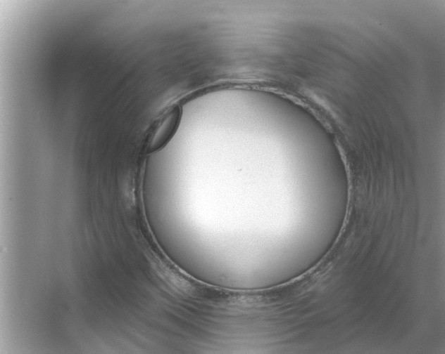 X0000068771451200605121649