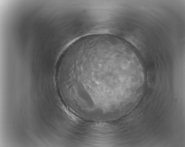 X0000068771452200605121649