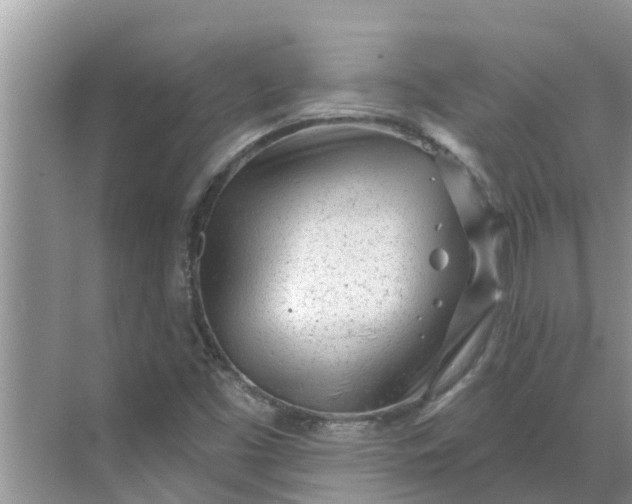 X0000068771453200605121649