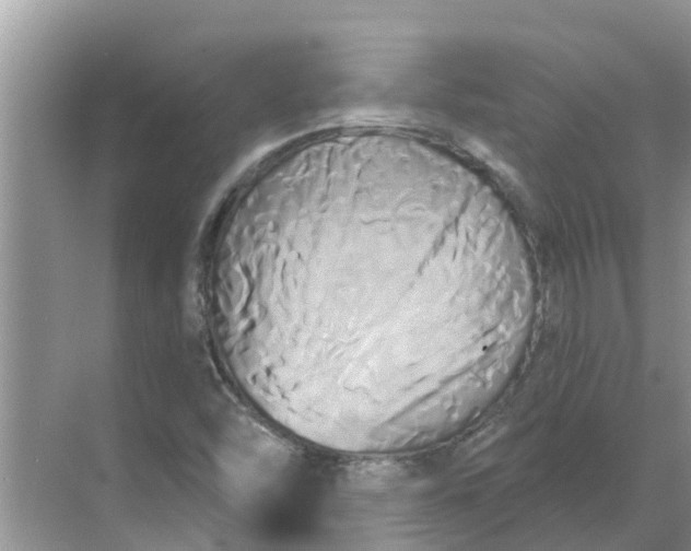 X0000068771454200605121649