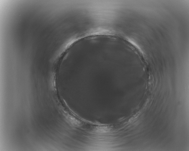 X0000068771455200605121649