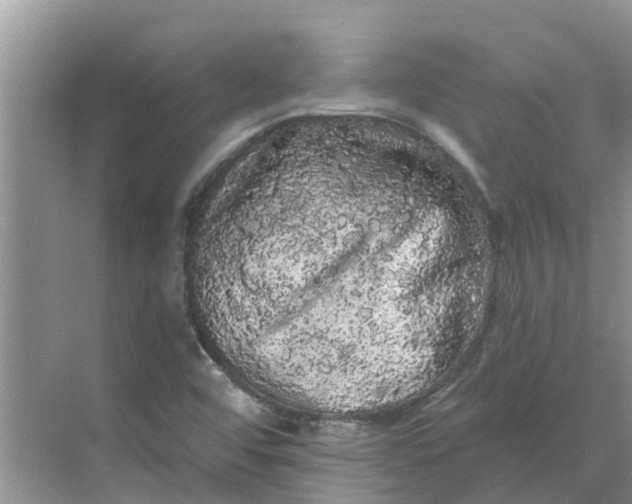 X0000068771456200605121649