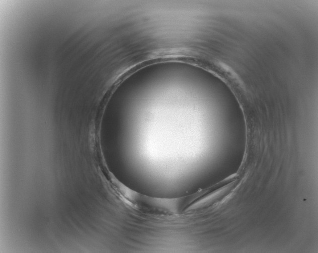 X0000068771457200605121649