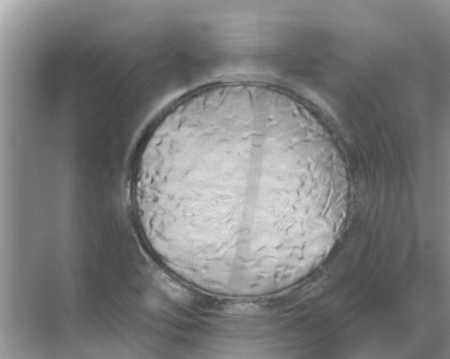 X0000068771462200605121649