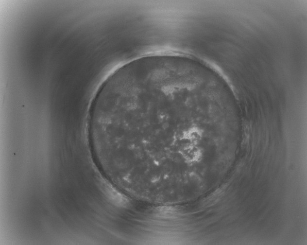 X0000068771463200605121649