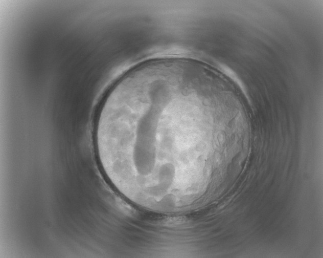 X0000068771464200605121649