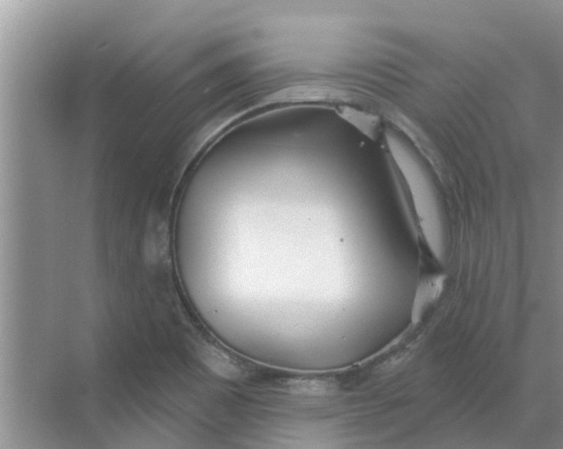 X0000068771465200605121649