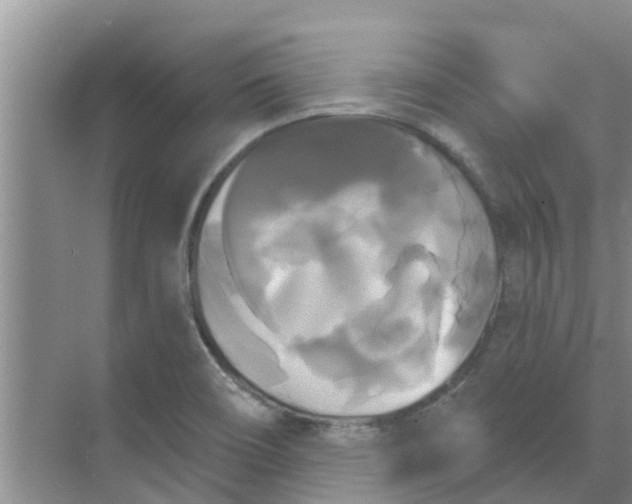 X0000068771466200605121649