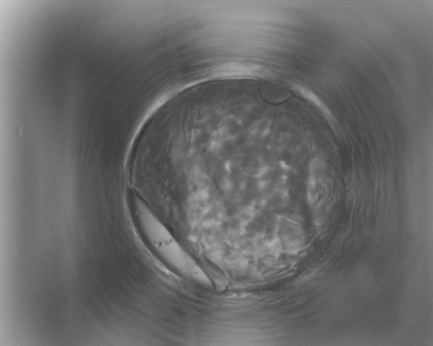 X0000068771467200605121649