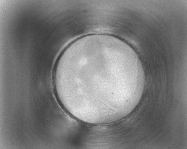 X0000068771470200605121649