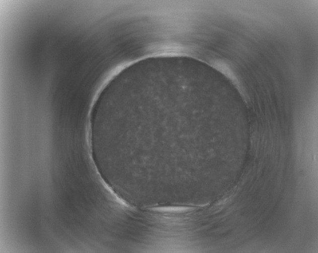 X0000068771472200605121649