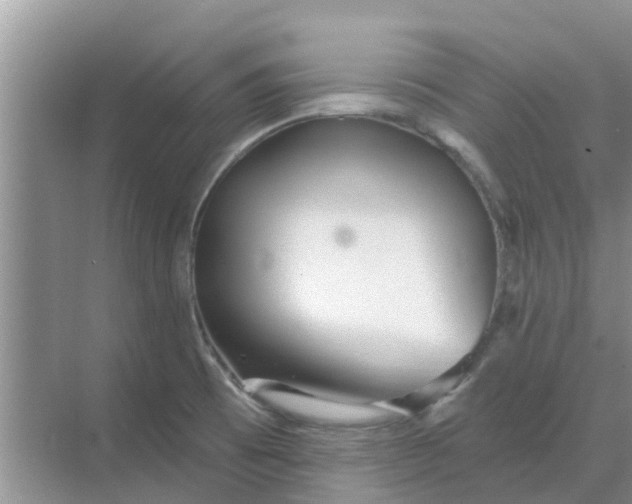 X0000068771473200605121649