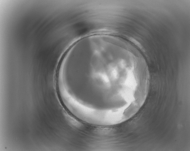 X0000068771474200605121649