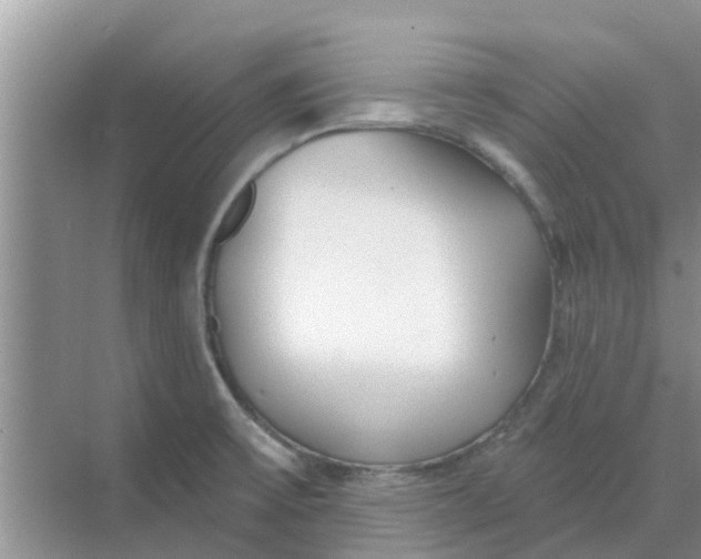 X0000068771475200605121649