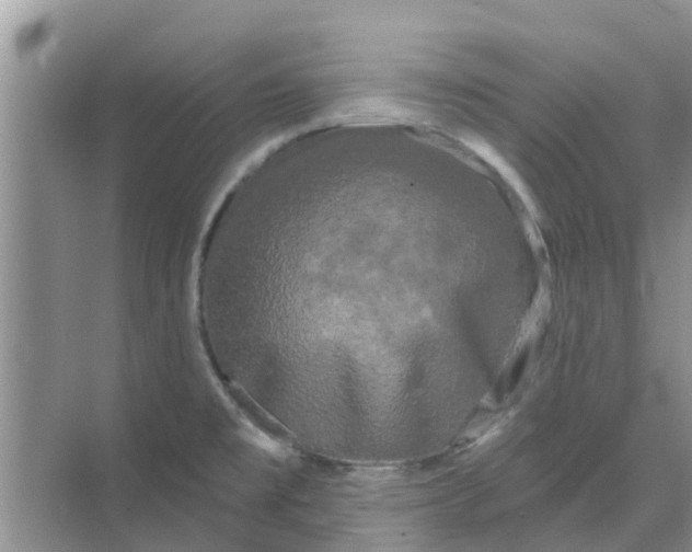 X0000068771477200605121649